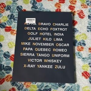 New in Package Phonetic Alphabet Canvas Airplane Decor (12x15 Inch)